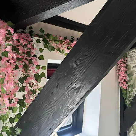 ღ Nid Perche - Cocon Hyper Centre & Wifi شقة دويه